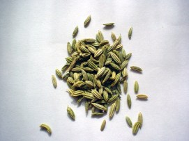fennel_seeds
