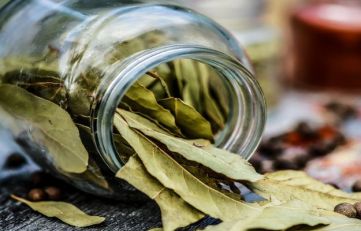 tej-patte-ke-fayde-in-hindi-1